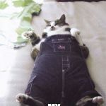 Fat Cat | ME LEAVING; MY GRANDMA'S HOUSE | image tagged in memes,fat cat | made w/ Imgflip meme maker