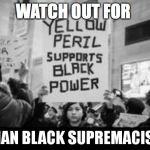 Asian Black Supremacists: Black Privilege and Asian Americans | image tagged in asian black supremacists black privilege and asian americans | made w/ Imgflip meme maker