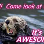 Shouting otter | Hey!!!  Come look at this!!! It's AWESOME!! | image tagged in shouting otter | made w/ Imgflip meme maker