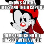 Wakko Warner | KNOWS ALL THE STATES AND THEIR CAPITOLS; DUMB ENOUGH HO HIT HIMSELF WITH A VIOLIN | image tagged in wakko warner | made w/ Imgflip meme maker