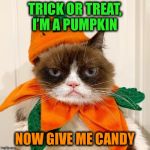 And hurry it up because I got other houses to hit | TRICK OR TREAT, I’M A PUMPKIN; NOW GIVE ME CANDY | image tagged in grumpy cat halloween,pumpkin,costume,memes,funny | made w/ Imgflip meme maker