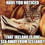 Smart Cat | HAVE YOU NOTICED; THAT IRELAND IS ONE SEA AWAY FROM ICELAND? | image tagged in smart cat | made w/ Imgflip meme maker