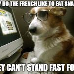 Smart Dog | WHY DO THE FRENCH LIKE TO EAT SNAILS? THEY CAN'T STAND FAST FOOD. | image tagged in smart dog | made w/ Imgflip meme maker