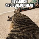 long cat 2 | AFTER 15 YEARS OF SCIENTIFIC RESEARCH AND DEVELOPMENT; WE PRESENT: LONG CAT 2 | image tagged in long cat 2 | made w/ Imgflip meme maker