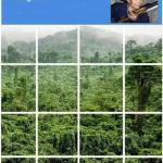 Select all squares with vietcong soldier meme