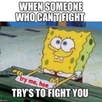 try me hoe | WHEN SOMEONE WHO CAN’T FIGHT; TRY’S TO FIGHT YOU | image tagged in try me hoe | made w/ Imgflip meme maker