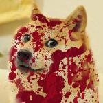 Bloody doge