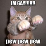 pew pew cat | IM GAY!!!!!!! | image tagged in pew pew cat | made w/ Imgflip meme maker