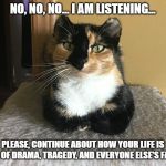 Mabel | NO, NO, NO... I AM LISTENING... PLEASE, CONTINUE ABOUT HOW YOUR LIFE IS FULL OF DRAMA, TRAGEDY, AND EVERYONE ELSE'S FAULT. | image tagged in mabel,cats,cat,sarcastic,sarcasm | made w/ Imgflip meme maker