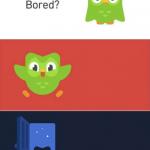 Duolingo Bored 3-Panel meme