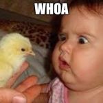 Thats a chicken nugget? | WHOA | image tagged in thats a chicken nugget | made w/ Imgflip meme maker