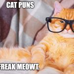 Smart cat | CAT PUNS; FREAK MEOWT. | image tagged in smart cat | made w/ Imgflip meme maker