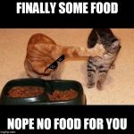 cats share food | FINALLY SOME FOOD; NOPE NO FOOD FOR YOU | image tagged in cats share food | made w/ Imgflip meme maker