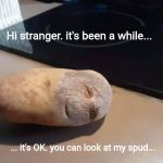 hi stranger potato | Hi stranger. it's been a while... ... it's OK. you can look at my spud... | image tagged in hi stranger potato | made w/ Imgflip meme maker