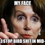 Nancy Pelosi No Spending Problem | MY FACE; WILL STOP BIRD SHIT IN MID-AIR | image tagged in nancy pelosi no spending problem | made w/ Imgflip meme maker