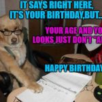 Accountant Dog | IT SAYS RIGHT HERE, IT'S YOUR BIRTHDAY,BUT... YOUR AGE AND YOUR LOOKS JUST DON'T "ADD" UP. HAPPY BIRTHDAY, LOU! | image tagged in accountant dog | made w/ Imgflip meme maker