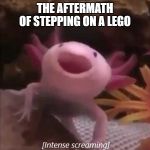 Axolotl | THE AFTERMATH OF STEPPING ON A LEGO | image tagged in axolotl | made w/ Imgflip meme maker