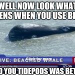 Beached Whale | WELL NOW LOOK WHAT HAPPENS WHEN YOU USE BLEACH; TOLD YOU TIDEPODS WAS BETTER | image tagged in beached whale | made w/ Imgflip meme maker