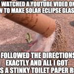 Hedgehog in a toilet paper roll | I WATCHED A YOUTUBE VIDEO ON HOW TO MAKE SOLAR ECLIPSE GLASSES; I FOLLOWED THE DIRECTIONS EXACTLY AND ALL I GOT WAS A STINKY TOILET PAPER ROLL | image tagged in hedgehog in a toilet paper roll | made w/ Imgflip meme maker