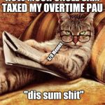 ANNOYED CAT | ME WHEN I SEE HOW MUCH UNCLE SAM TAXED MY OVERTIME PAU; S/O Memes; "dis sum shit" | image tagged in annoyed cat | made w/ Imgflip meme maker