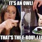 Crying girls and Cat | IT'S AN OWL! NO CHA, THAT'S THE E-BOU!  ( LE HIBOU) | image tagged in crying girls and cat | made w/ Imgflip meme maker