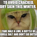 LIME & TEQUILA CAT | TO AVOID CRACKED, DRY SKIN THIS WINTER. TAKE HALF A LIME, A BOTTLE OF TEQUILA, SALT AND DON'T GO OUTSIDE | image tagged in lime cat | made w/ Imgflip meme maker