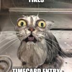 Wet Scary Cat | YIKES; TIMECARD ENTRY | image tagged in wet scary cat | made w/ Imgflip meme maker