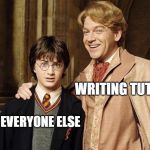 Concerned Harry Potter | WRITING TUTOR; EVERYONE ELSE | image tagged in concerned harry potter | made w/ Imgflip meme maker