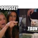 Lady pointing at cat | AUNT POUSSEY; TAUNT TUT | image tagged in lady pointing at cat | made w/ Imgflip meme maker