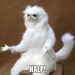 oof | HALP! | image tagged in oof | made w/ Imgflip meme maker