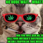 WEED TRIP | NO DUDE WAIT... WHAT? DID YOU JUST ASK ME TO KILL YOUR MOTHER'S BOYFRIEND OR AM I TRIPPIN ON THIS WEED? | image tagged in weed trip | made w/ Imgflip meme maker