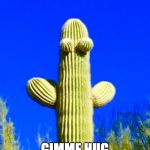 Huggy Cactus  | GIMME HUG | image tagged in huggy cactus | made w/ Imgflip meme maker