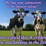 cool cows | We find your submission to be 'moooo-velous'! Have a good day & continue to be outstanding in the field!! | image tagged in cool cows | made w/ Imgflip meme maker