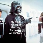 Darth Vader | my dog; My little brother who actually did it; my mom yelling at the dog for peeing on the floor | image tagged in darth vader | made w/ Imgflip meme maker