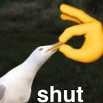 Shut Bird meme