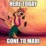 Timon Lion King Hula | HERE TODAY; GONE TO MAUI | image tagged in timon lion king hula | made w/ Imgflip meme maker