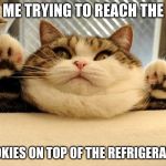 Jabba the Hutt fat cat | ME TRYING TO REACH THE; COOKIES ON TOP OF THE REFRIGERATOR | image tagged in jabba the hutt fat cat | made w/ Imgflip meme maker