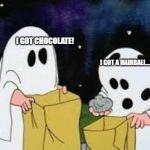 charlie brown halloween | I GOT CHOCOLATE! I GOT A HAIRBALL... | image tagged in charlie brown halloween | made w/ Imgflip meme maker