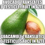 avacado | AVOCADO TRANSLATES TO TESTICLE FRUIT IN AZTEC; GUACAMOLE TRANSLATES TO TESTICLE SAUCE IN AZTEC | image tagged in avacado | made w/ Imgflip meme maker