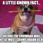 smart dog | A LITTLE KNOWN FACT... BEFORE THE CROWBAR WAS INVENTED, MOST CROWS DRANK AT HOME. | image tagged in smart dog | made w/ Imgflip meme maker