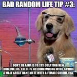 I Have No Idea What I Am Doing Dog | BAD RANDOM LIFE TIP #3: DON'T BE AFRAID TO TRY CREATING NEW DOG BREEDS. THERE IS NOTHING WRONG WITH HAVING A MALE GREAT DANE MATE WITH A FEM | image tagged in memes,i have no idea what i am doing dog | made w/ Imgflip meme maker