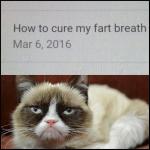 FART BREATH