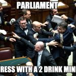 Parliament brawl | PARLIAMENT; CONGRESS WITH A 2 DRINK MINIMUM | image tagged in parliament brawl | made w/ Imgflip meme maker