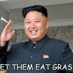 cannabis in north korea | LET THEM EAT GRASS | image tagged in cannabis in north korea | made w/ Imgflip meme maker