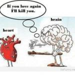 HEART AND BRAIN