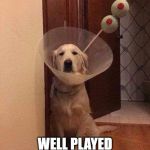 Dog-tail | WELL PLAYED HUMAN. WELL PLAYED | image tagged in dog cocktail,dog,funny animals,humanity | made w/ Imgflip meme maker