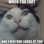 Crazy cat | WHEN YOU FART; AND EVERYONE LOOKS AT YOU | image tagged in crazy cat | made w/ Imgflip meme maker