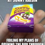Bottom flap | THE PEOPLE AT SUNNY RAISIN; FOILING MY PLANS OF OPENING THE BOX THROUGH THE GLUED FLAP SINCE 2009 | image tagged in bottom flap | made w/ Imgflip meme maker