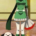 Akame ga Kill | "SALUTATIONS RWBY FANS"; "DID YOU MISS ME?" | image tagged in akame ga kill | made w/ Imgflip meme maker