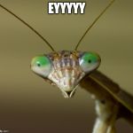 eyyy | EYYYYY | image tagged in eyyy | made w/ Imgflip meme maker